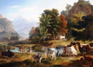 Animals in Landscape showing zebras, parrots and quaggas