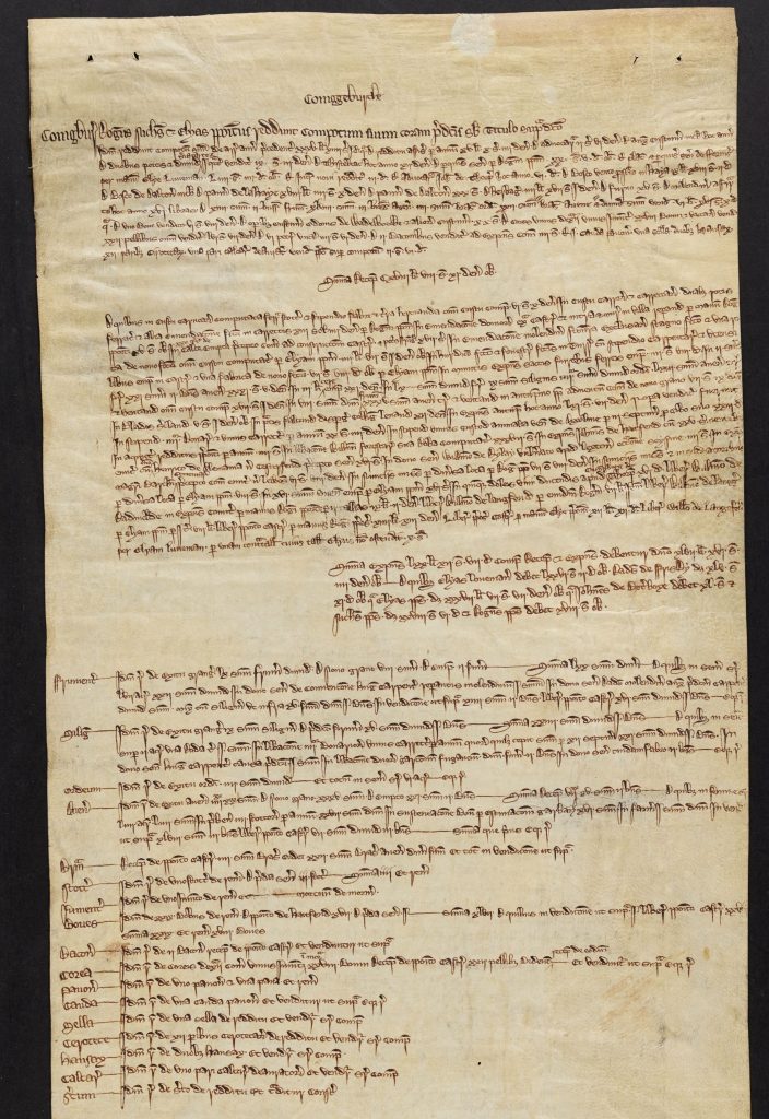 Image of a parchment roll containing text (illegible)