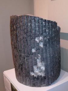 A tree trunk.