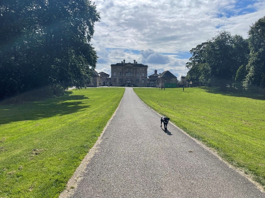 View of Cusworth Hall down the front drive with dog walking in the distance.