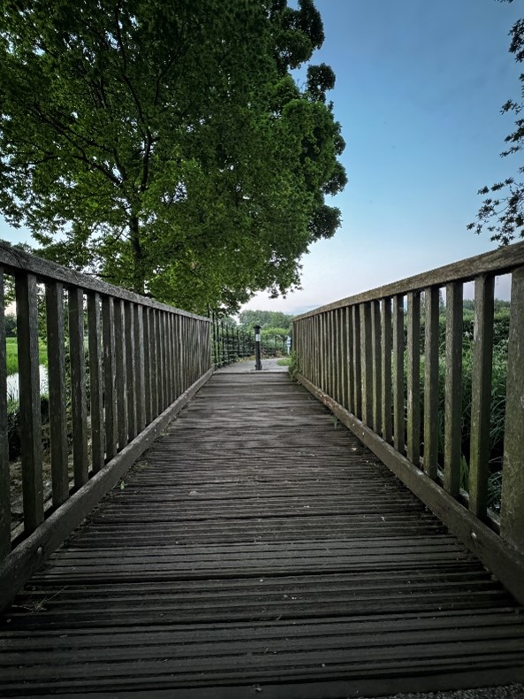View in the park, down a wooden walkway with blue sky and trees in the distance
