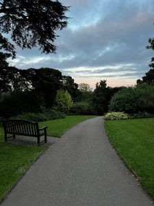 View of Cusworth Gardens, view down the path with bench in the foreground.