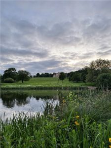 View across the lake with reeds in the foreground and Cusworth Hall in the distance