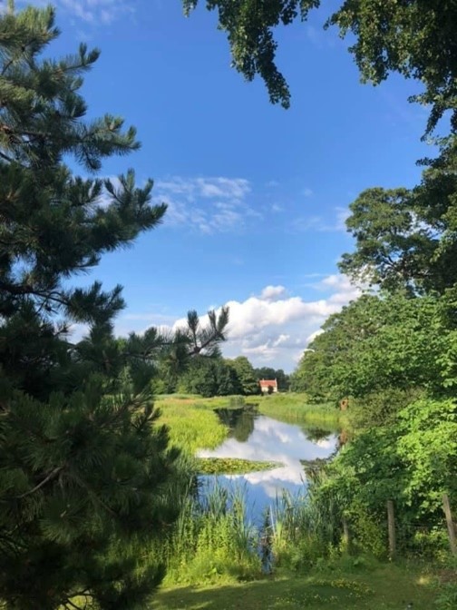 View between trees, across a lake