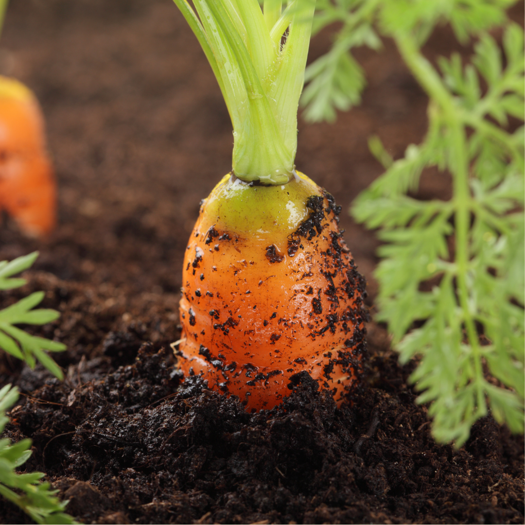 Growing for food