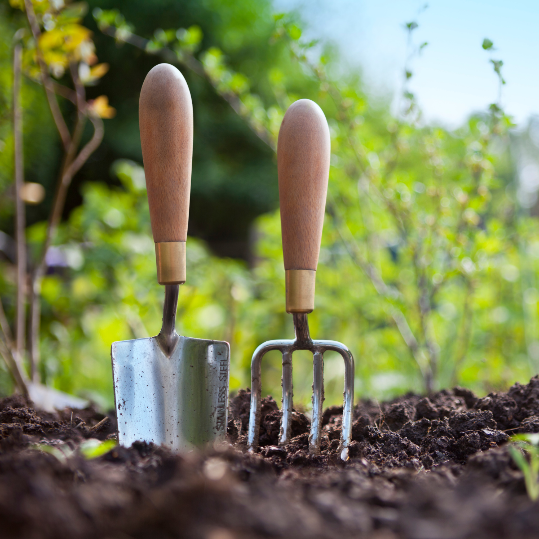 Maintaining the Community Garden