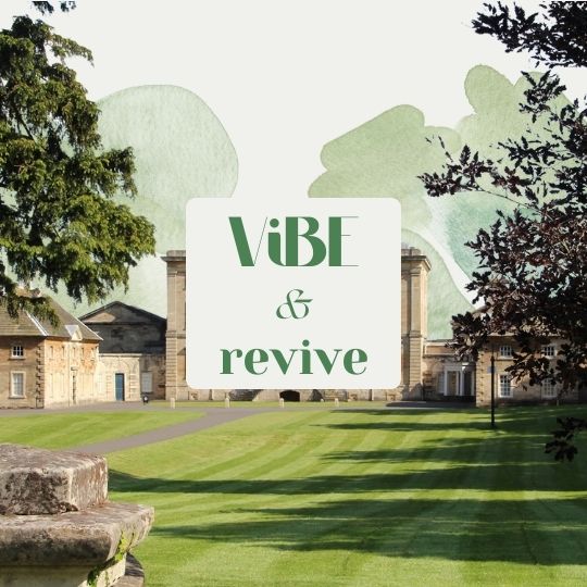 Vibe & Revive