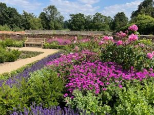 Cusworth Walled Garden with purple and pink flowers lining a pathway